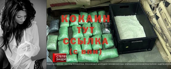 гидропоника Белокуриха