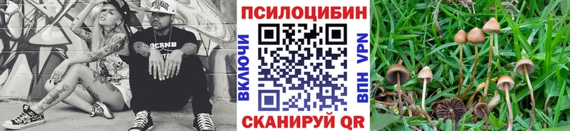 Псилоцибиновые грибы MAGIC MUSHROOMS  Горячий Ключ 